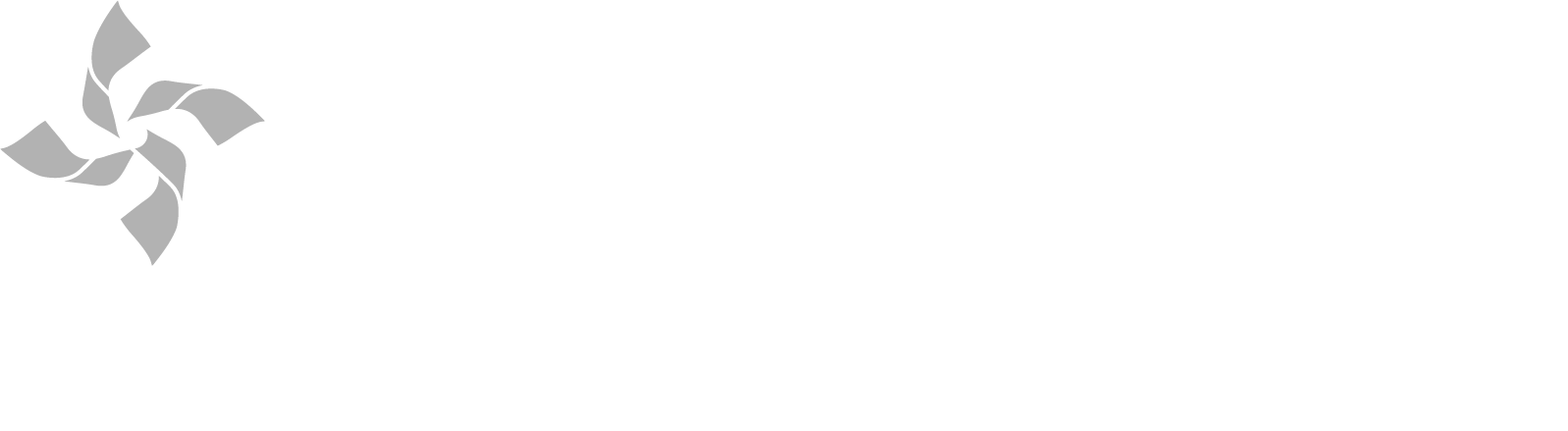 Healthy Families America